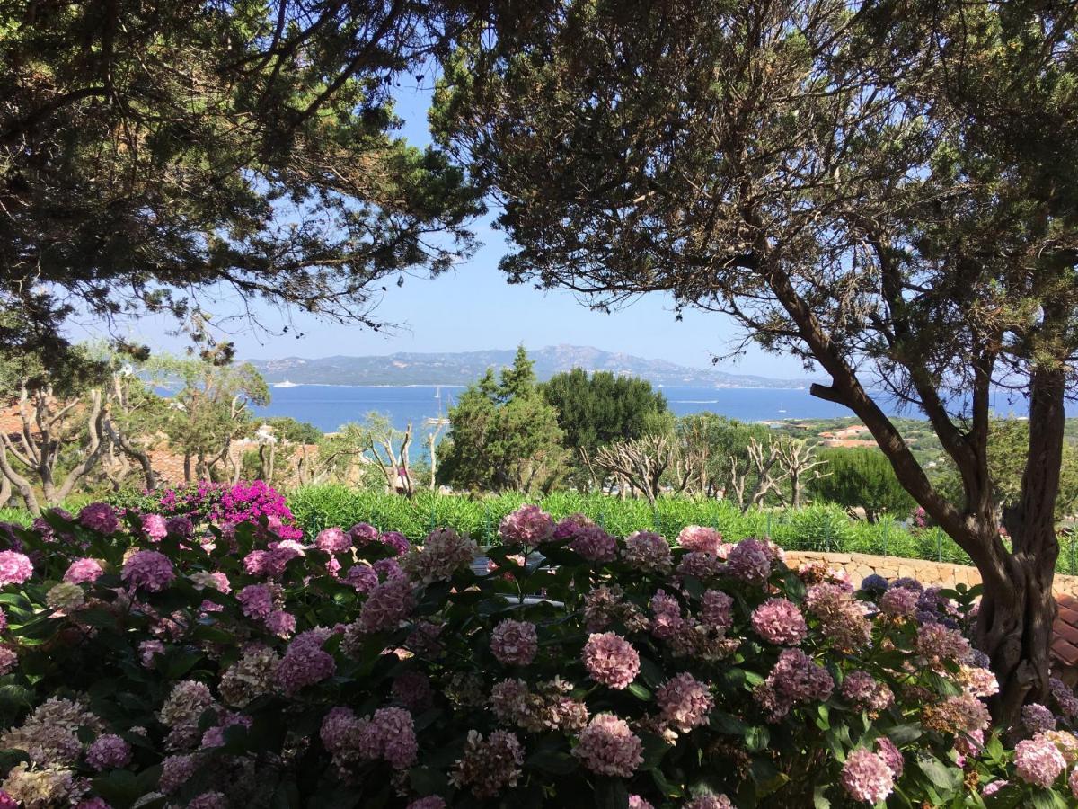 Punta Lada Daire Porto Rotondo Dış mekan fotoğraf